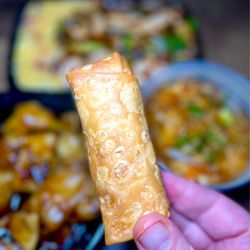 Main Moon Chinese Restaurant - Egg roll