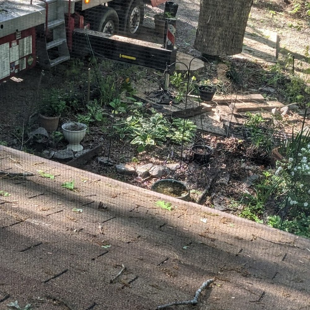 Dolley Tree Service And Landscaping Co. - with the crane - Tree Services Near Me