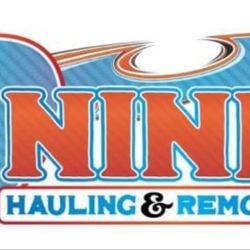 Nine Hauling & Junk Removal - New Logo!