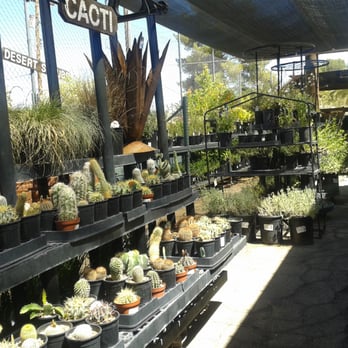 Terra Designs - Nurseries & Gardening Near Me - Tucson, Arizona