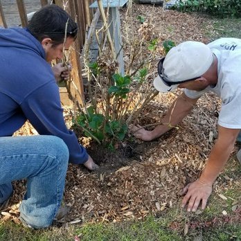 Dangelo Property Care - two men planting a tree - Landscaping Near Me - Beaufort, South Carolina Dangelo Property Care - two men planting a tree - Landscaping Near Me - Beaufort, South Carolina