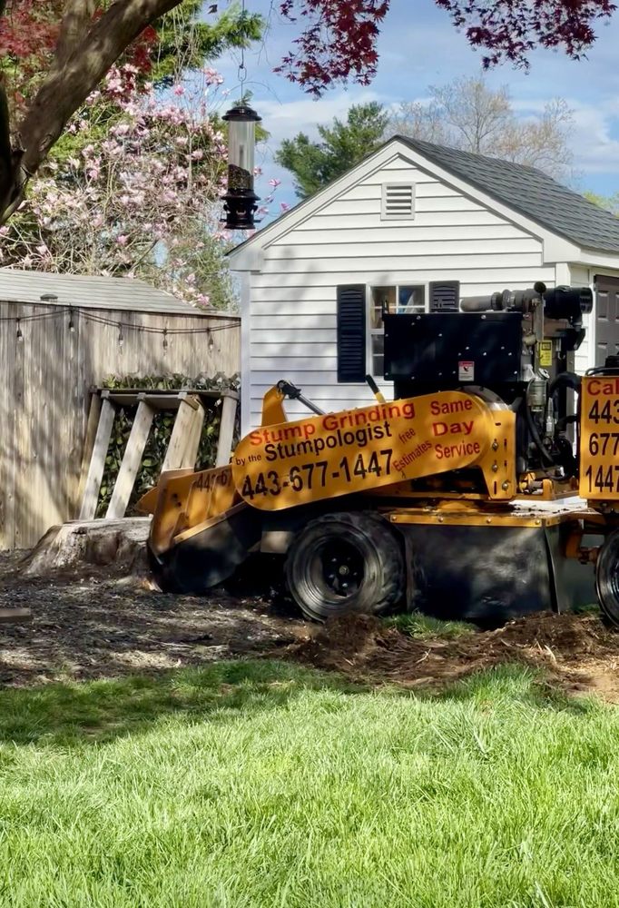 Sam's Services - tree service in Glen Burnie, MD