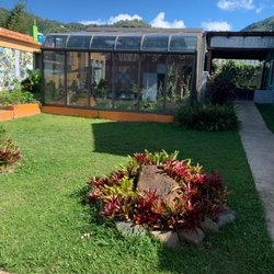 Casa Pueblo - Mariposario