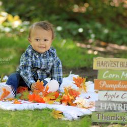 Joyful Moments Photography By Chelsea - Joyful Moments Photography by Chelsea, Fall sessions and more