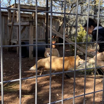 Austin Zoo - Nick and Mick - Zoos Near Me - Austin, Texas