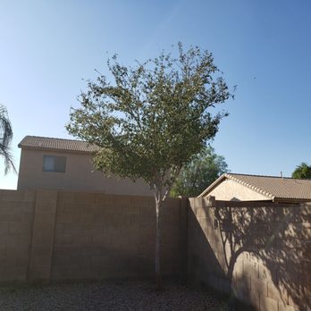 Gonzalez Lucio Landscaping - Landscaping Near Me Gonzalez Lucio Landscaping - Landscaping Near Me