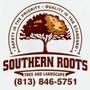Photo of Southern Roots Tree and Landscape