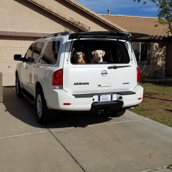 Goldie's Motors - Got to love dog looking out the back window of their brand new Nissan Armada from Goldie's car sales - Used Car Dealers Near Me - Mesa, Arizona