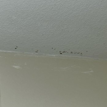 Solara Inn and Suites - Mold in bathroom above shower. - Hotels Near Me - Anaheim, California