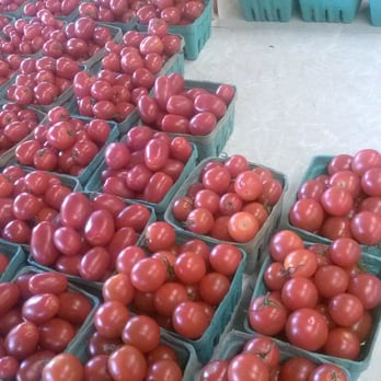 E. Cecchi Farms - freshly picked tomatoes - Nurseries & Gardening Near Me - Feeding Hills, Massachusetts