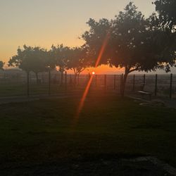 Grand Terrace Dog Park