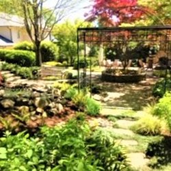 AJ's Landscapes