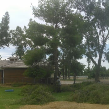 Cdc Tree Service - After - Tree Services Near Me - Mesa, Arizona