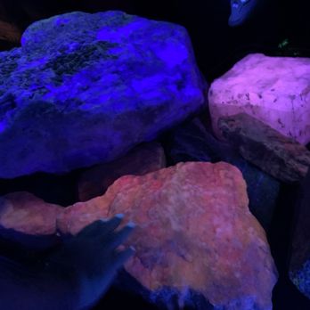 Sterling Hill Mining Museum - Minerals and a hand reflect different colors under fluorescent lights. - Museums Near Me - Ogdensburg, New Jersey