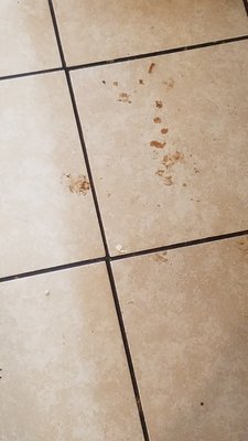 Marshall Diner by null