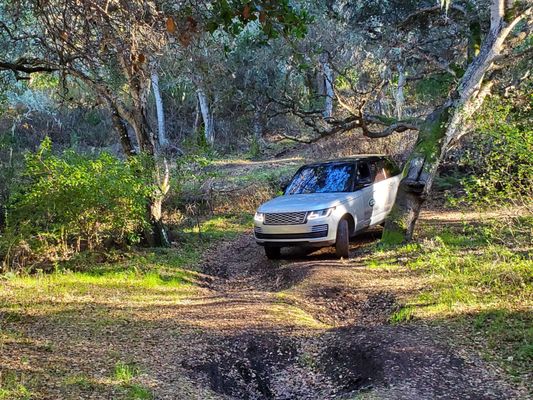 LAND ROVER EXPERIENCE AT QUAIL LODGE - Updated January 2025 - 41 Photos
