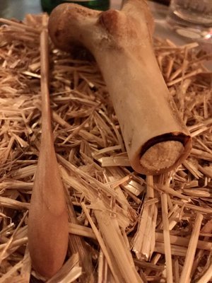 Honey Badger by null Honey Badger by null