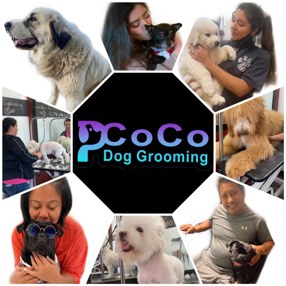 PCOCO DOG GROOMING Updated October 2024 Request an Appointment 38