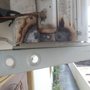 Photo of Primary Air Heating & Cooling