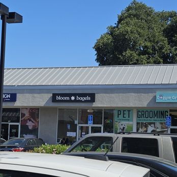 Bloom Bagels - Outside - Bagels Near Me - Campbell, California Bloom Bagels - Outside - Bagels Near Me - Campbell, California