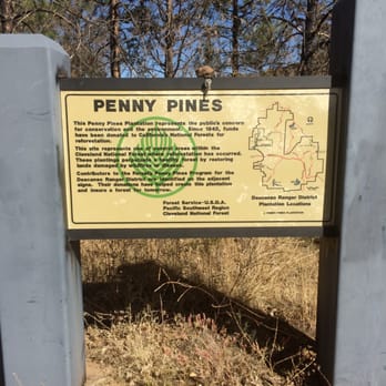 Pacific Crest Trail At Penny Pines - Hiking Near Me - Pine Valley, California Pacific Crest Trail At Penny Pines - Hiking Near Me - Pine Valley, California