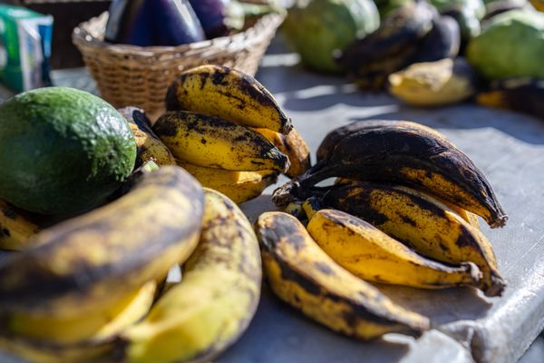 Upcountry Farmer's Market by null