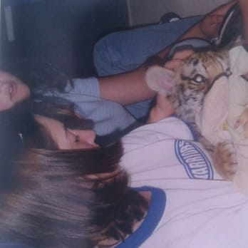 Tiger Creek Animal Sanctuary - Piffer as a cub - Community Service/Non-Profit Near Me - Tyler, Texas