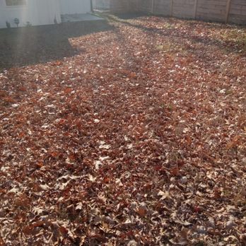 A.S.A.P. Quick & Fresh - ws a pile of leaves on the ground - Landscaping Near Me A.S.A.P. Quick & Fresh - ws a pile of leaves on the ground - Landscaping Near Me