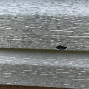 Bluescapes Lawn Care - a snail crawling on the siding - Landscaping Near Me - Dallas, Georgia Bluescapes Lawn Care - a snail crawling on the siding - Landscaping Near Me - Dallas, Georgia