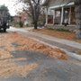Photo of Virgil's Lawn Care & Snow Removal