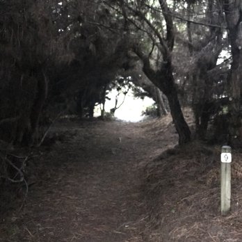 Jug Handle State Natural Reserve - Parks Near Me - Fort Bragg, California