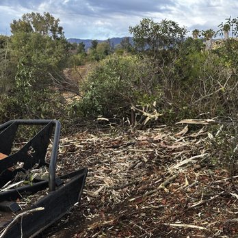 San Diego Weed Mowing - Sumac brush destruction in Deluz - Landscaping Near Me San Diego Weed Mowing - Sumac brush destruction in Deluz - Landscaping Near Me