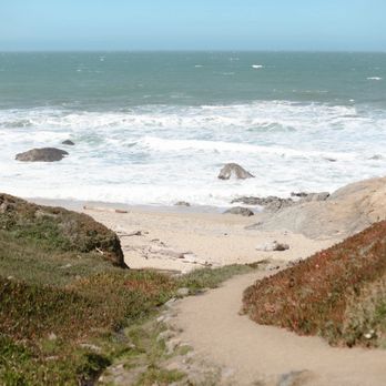 Bodega Bay Trailhead - Beach by one of the parking lots - Hiking Near Me - Bodega Bay, California Bodega Bay Trailhead - Beach by one of the parking lots - Hiking Near Me - Bodega Bay, California