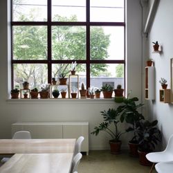 Rochester Brainery - Another photo of our Green Room featuring our tables and chairs available for anyone renting our space to use.