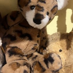 Ei Home - This looks Beary familiar. Is it Leopard or Cheetah pattern ? ( Questions in my mind)