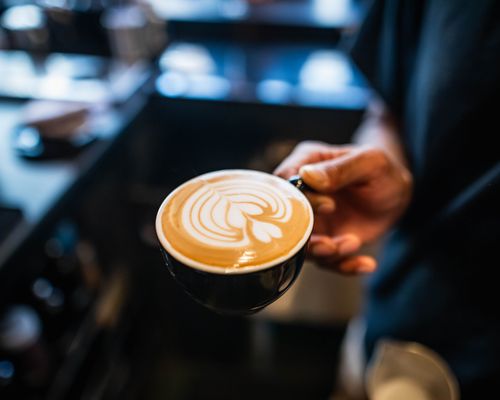 Lamplighter Coffee Roasters Roast Lab by null