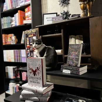 Le Chat Noir Bookstore & Cat Lounge - Bookstores Near Me - Redlands, California