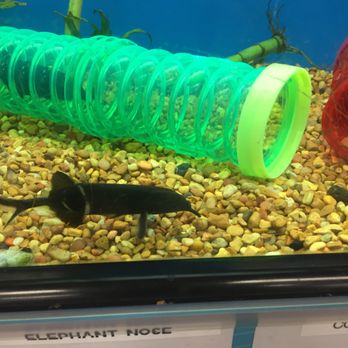 Petco - Pet Stores Near Me - Victorville, California