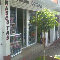 Acuario Octopus - Peces, peceras, tortugas y mas.