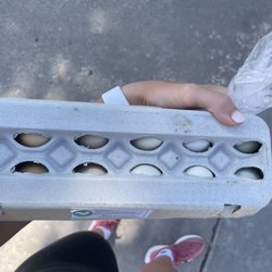 Colorado Farm and Art Market - Eggs