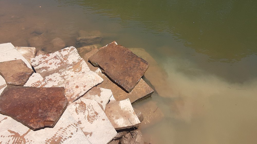 BRINKLEY AUCTIONS Updated August 2024 401 NW Lincoln Rd, Idabel