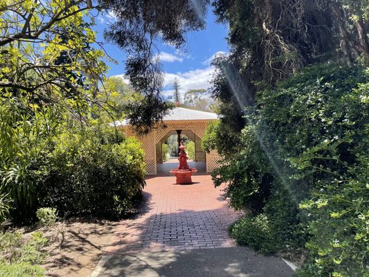 Adelaide Botanic Garden by null