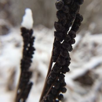 Ridley Creek State Park - Hiking Near Me - Media, Pennsylvania