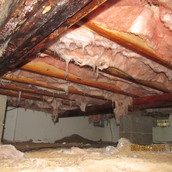 Tomak Consulting - Results due to poor Ventilation combined with Insulation and Moisture - Home Inspectors Near Me Tomak Consulting - Results due to poor Ventilation combined with Insulation and Moisture - Home Inspectors Near Me