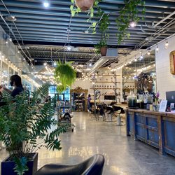 Chaos Salon