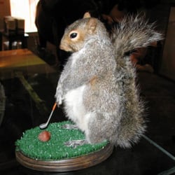 A & K Taxidermy