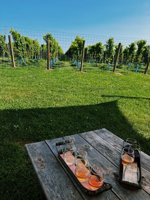 Rose Hill Vineyards & Inn by null