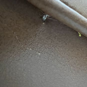 Ethan Allen - Tags applied through leather - Interior Design Near Me - Orlando, Florida