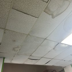 Roller Land - The ceiling