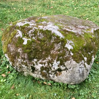 Cameron Park - Mosses 'draw' natural pictures on rocks - love them! - Parks Near Me - Burnaby, British Columbia Cameron Park - Mosses 'draw' natural pictures on rocks - love them! - Parks Near Me - Burnaby, British Columbia